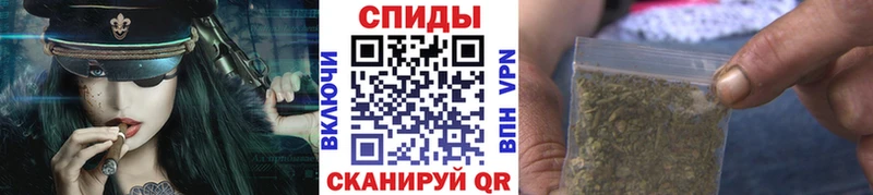 Бутират буратино  Черняховск 