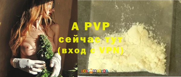 индика Балабаново