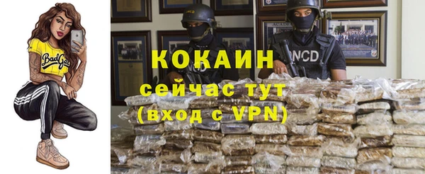 индика Балабаново