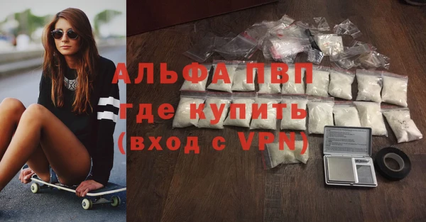 индика Балабаново