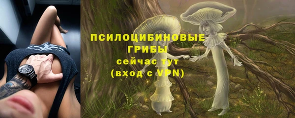индика Балабаново