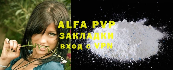 индика Балабаново