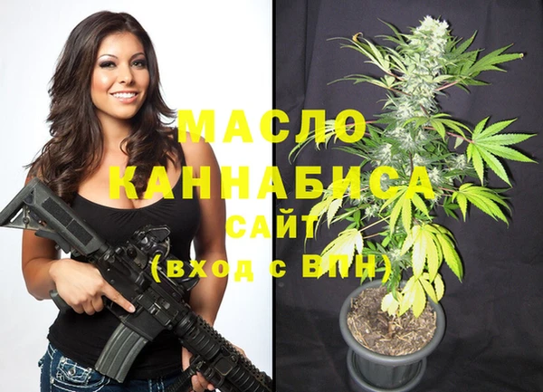 индика Балабаново