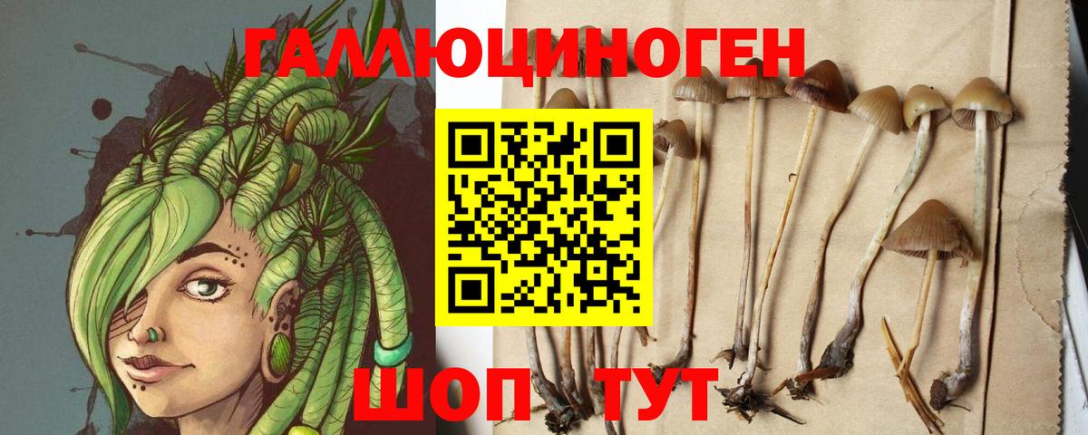 Галлюциногенные грибы мухоморы  Вход с VPN  Черняховск  купить   Галлюциногенные грибы Cubensis 